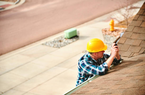 Roof Gutter Cleaning in Duenweg, MO